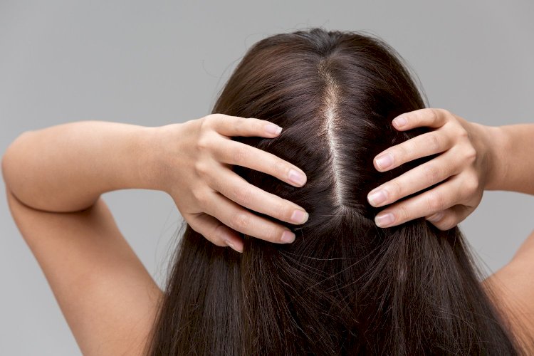 What Is Behind The Hair Loss: The Science Of Hair