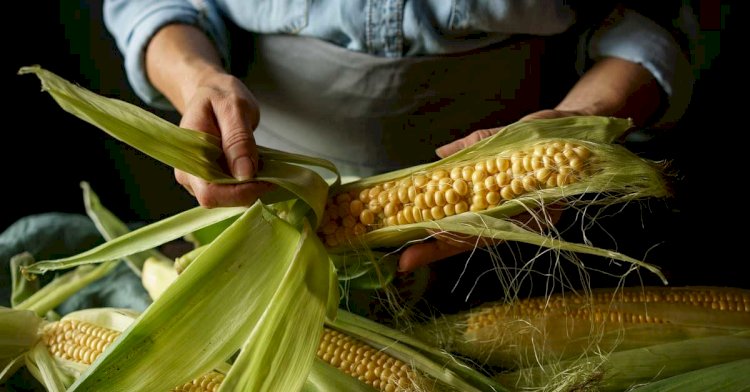 What Are The Surprising Uses For Corn-Starch?